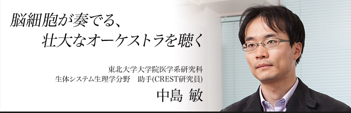 「脳細胞が奏でる、壮大なオーケストラ」東北大学大学院医学系研究科　生体システム生理学分野　助手(CREST研究員) 中島敏（なかじま・とし）